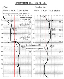 jordstruktur1-i.JPG (40016 bytes)