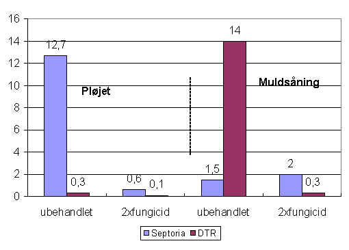 wpeB.jpg (21046 bytes)